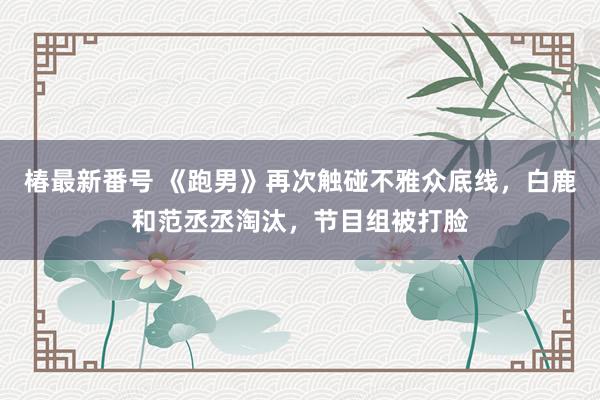 椿最新番号 《跑男》再次触碰不雅众底线，白鹿和范丞丞淘汰，节目组被打脸