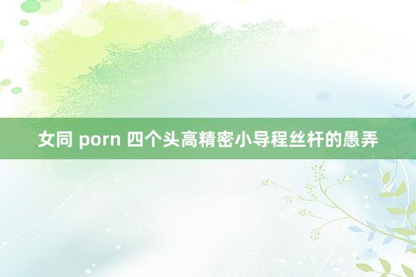 女同 porn 四个头高精密小导程丝杆的愚弄