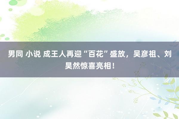 男同 小说 成王人再迎“百花”盛放，吴彦祖、刘昊然惊喜亮相！